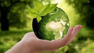 nature, earth, sustainability