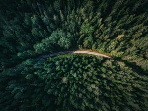 Luftaufnahme eines Waldes mit Straße